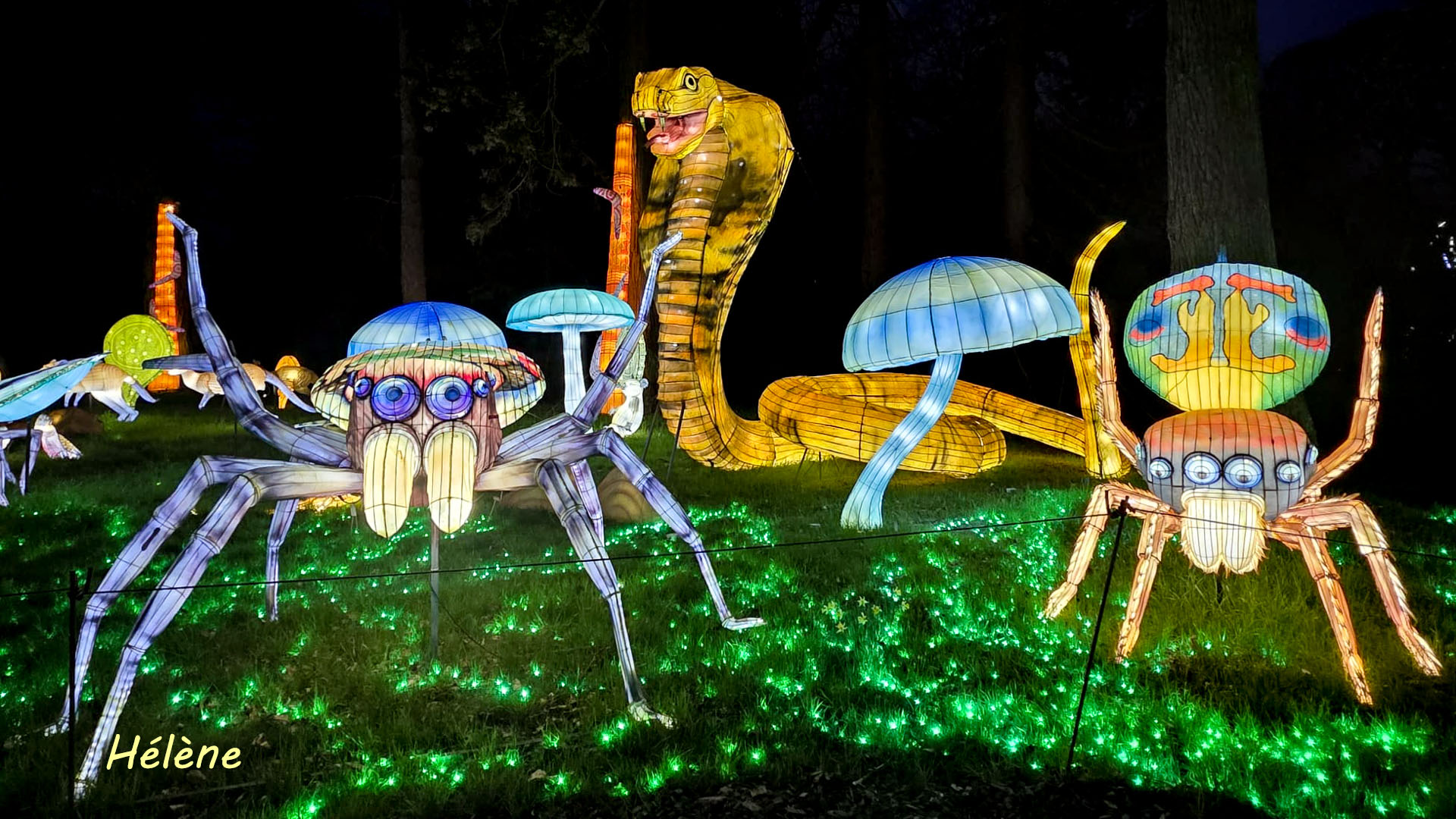 THOIRY -Illumination ,  Lumières sauvages 2025-2026